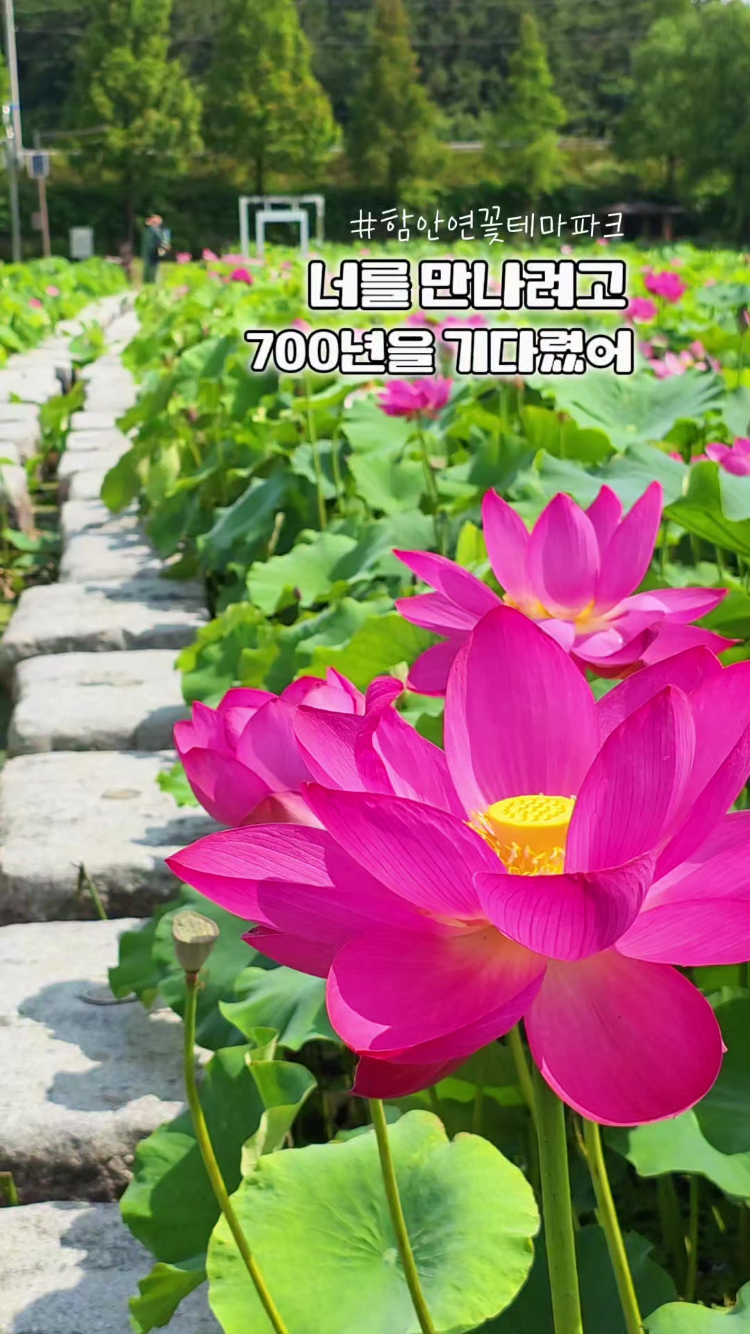 @ON로드 여행기