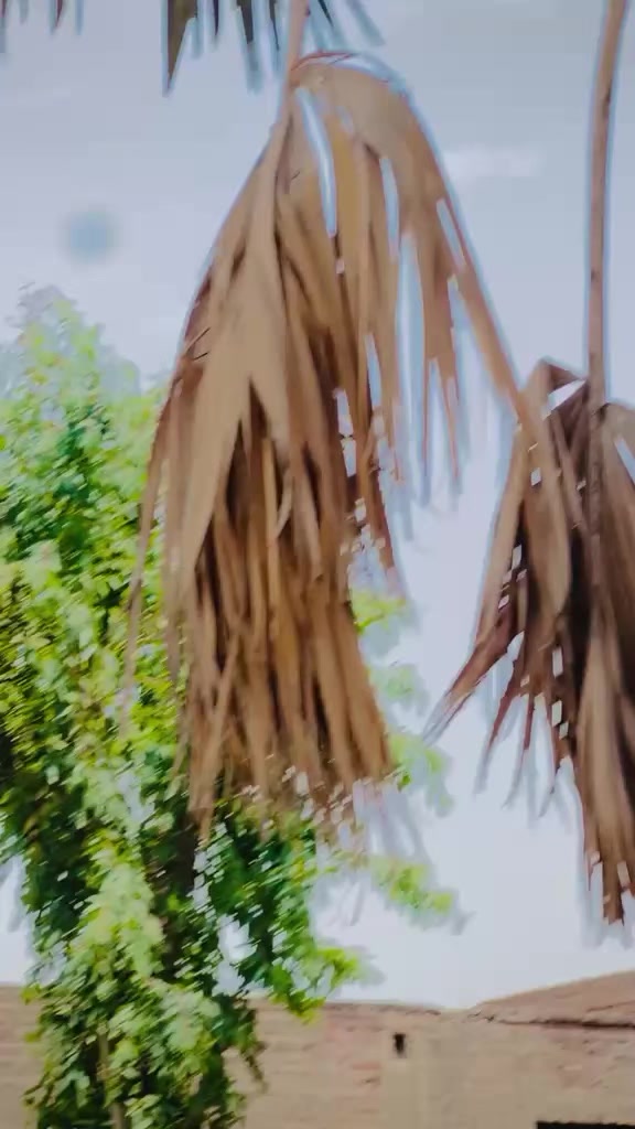 @محمد خان گوندل ❤️&zwj;🔥