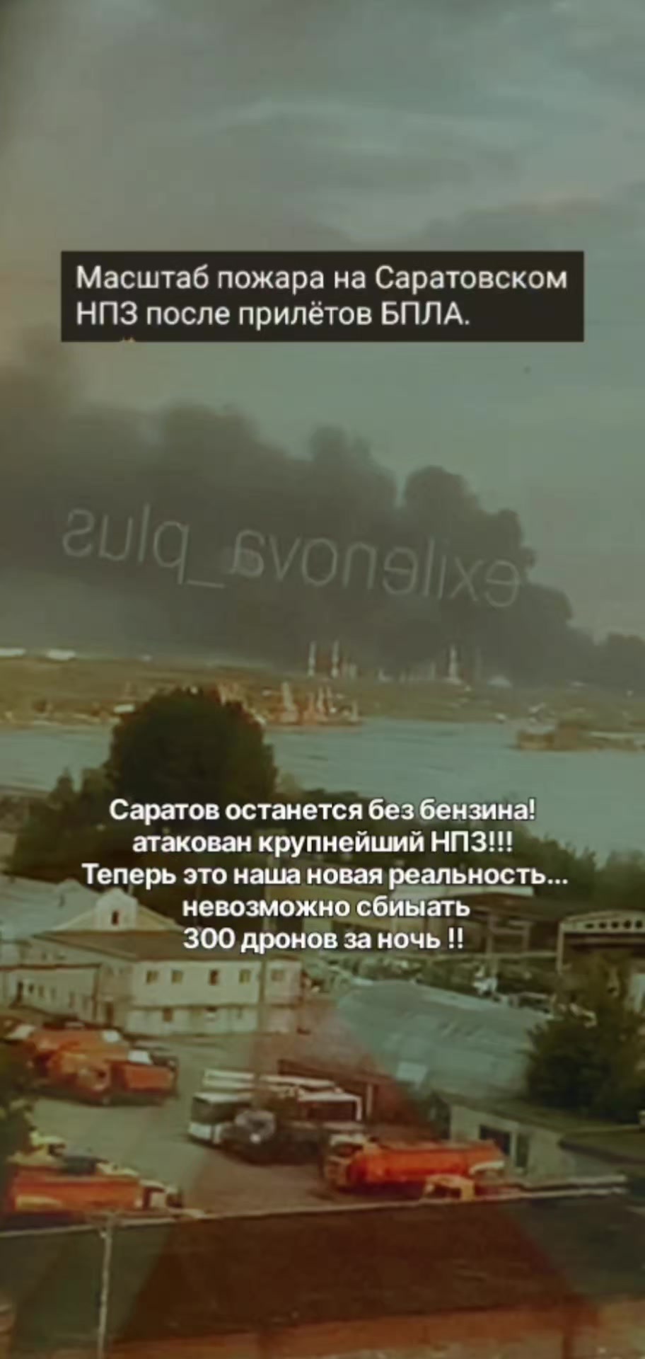 @EGOR_61Region