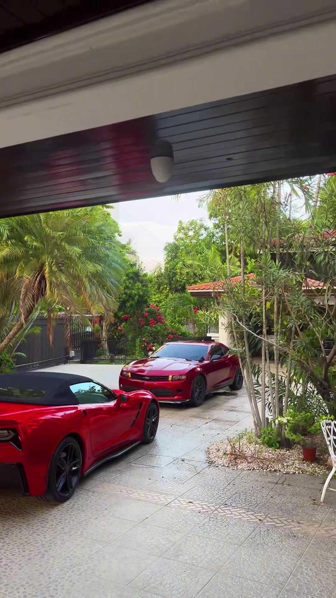 @Red Camaro👺