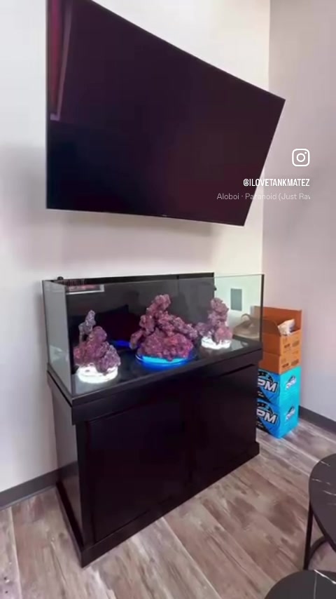 @Tankmatez.com USA