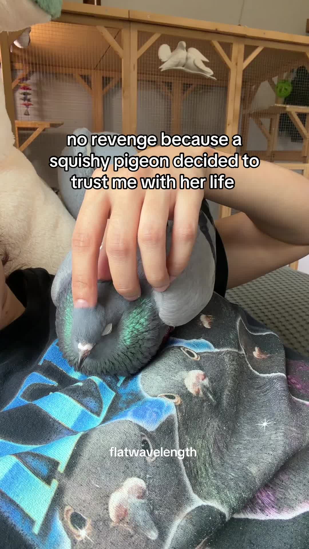 @flatwavelength