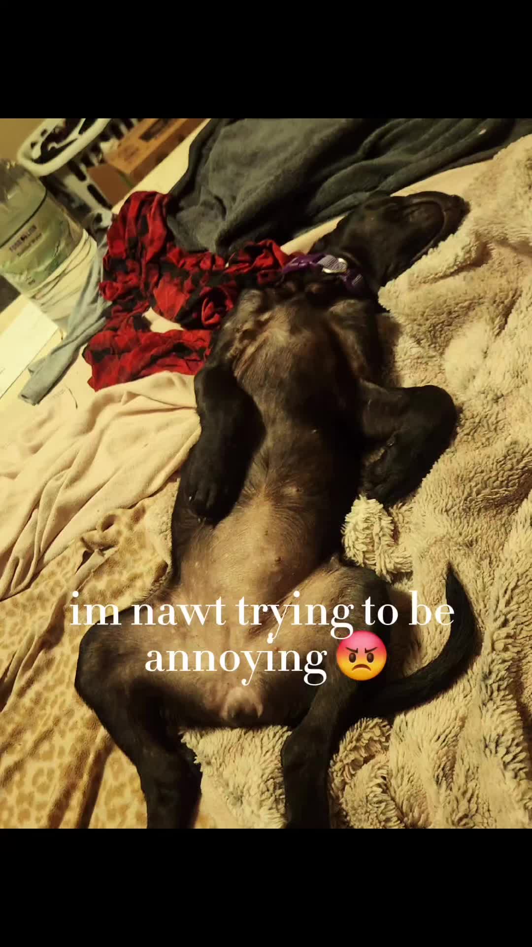 @Toyaaaa