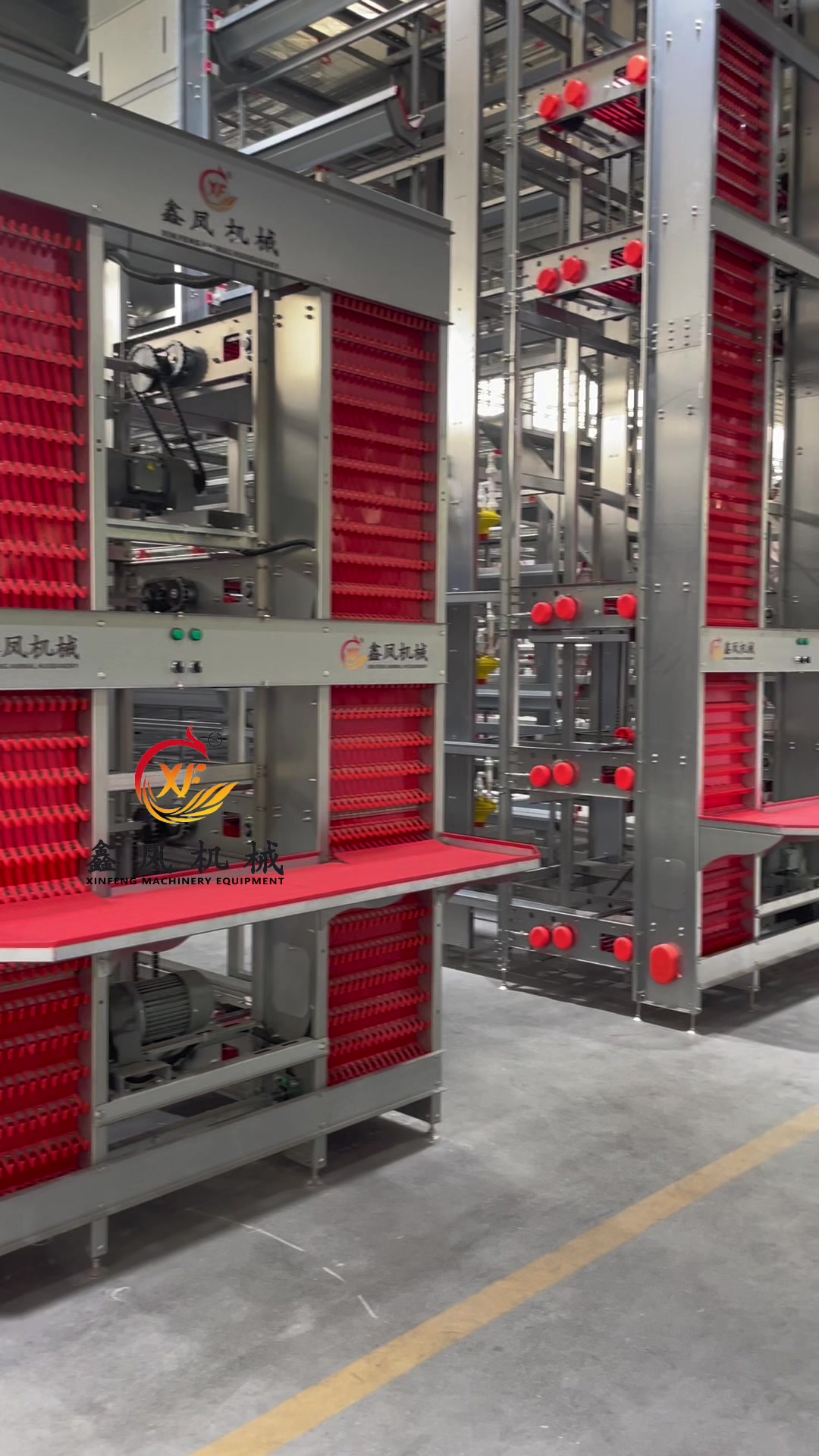 @Auto Poultry Cage Manufacturer