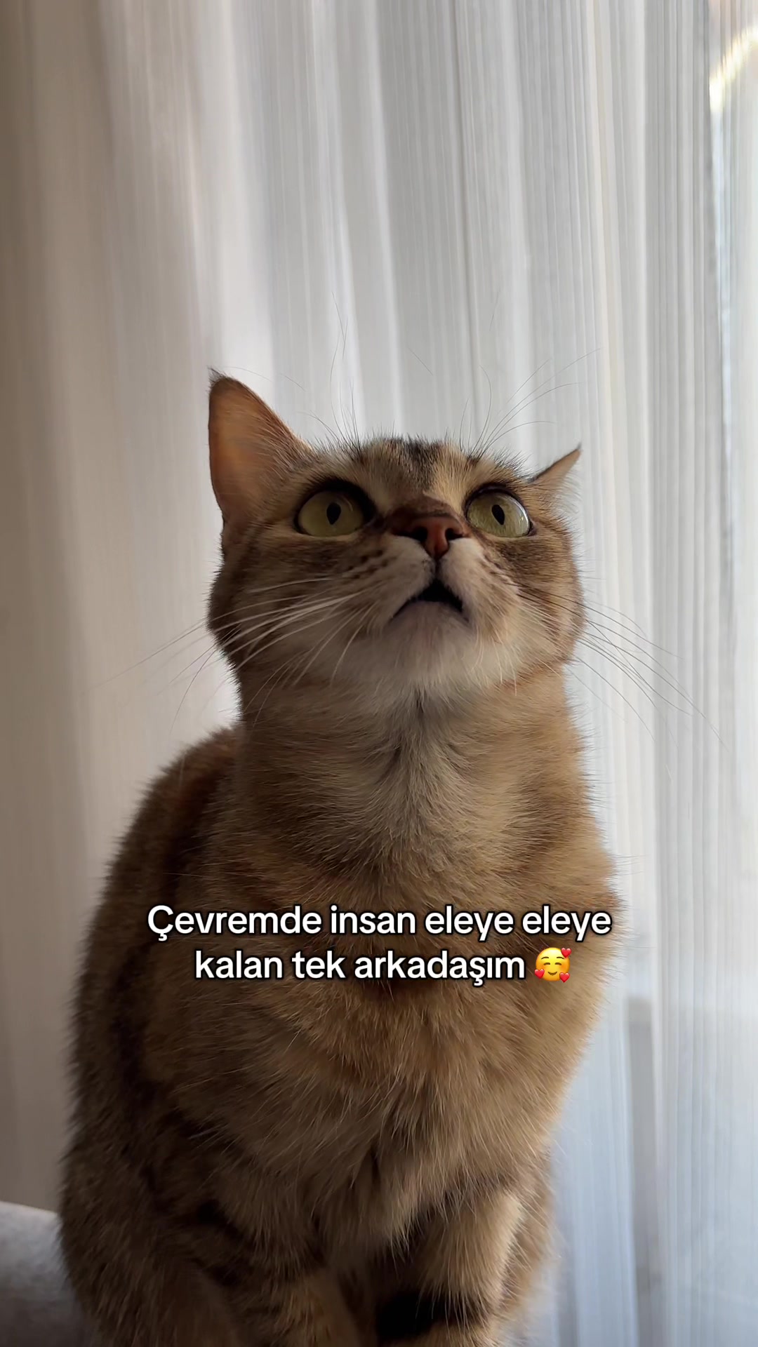 @Gizem Çetin🪬🤍