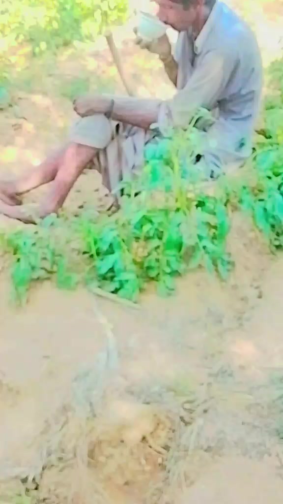 @S💞JAAN💞S