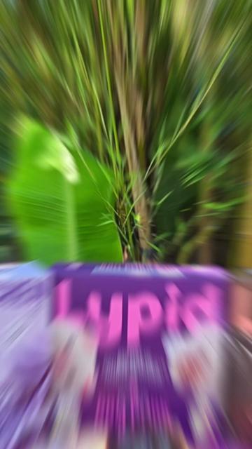 @TinTin Beligan