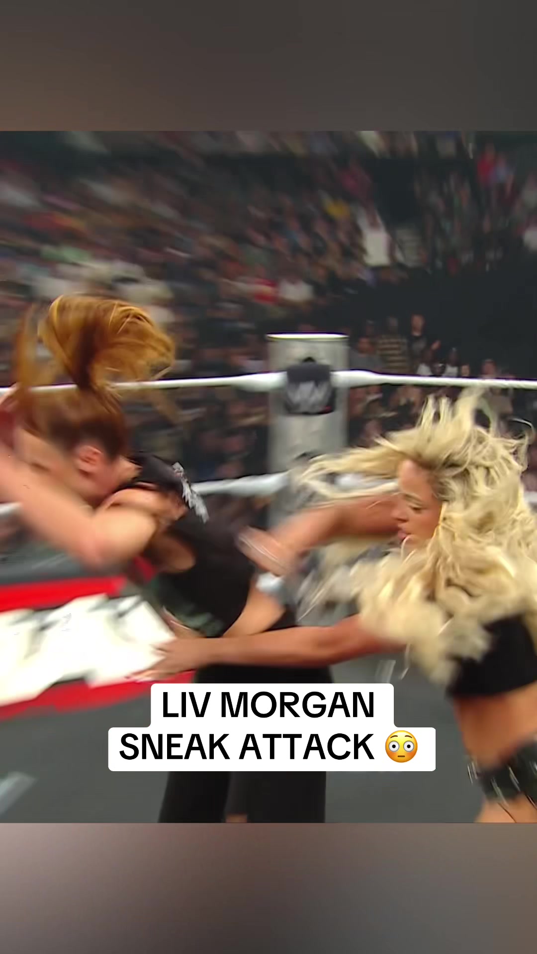 @WWE on NETFLIX