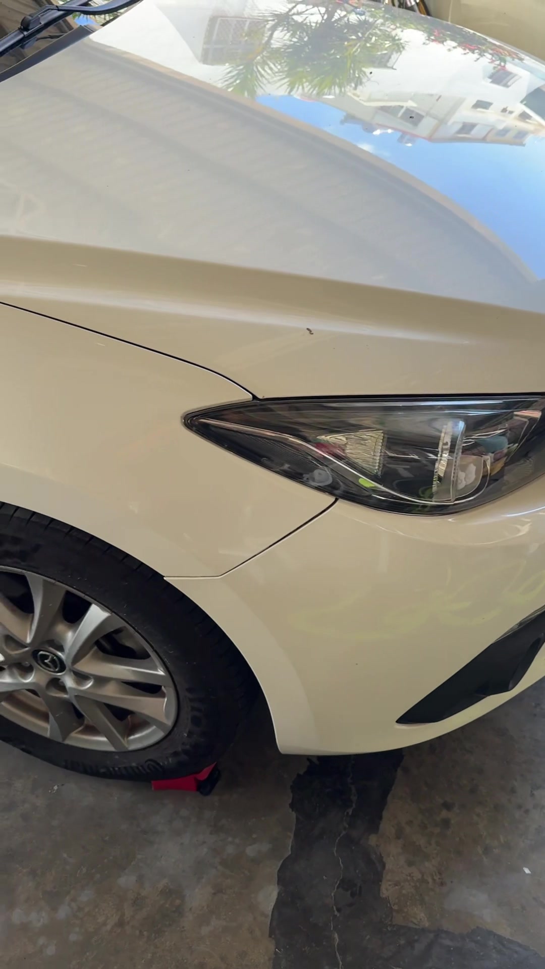 @邦尼洗車