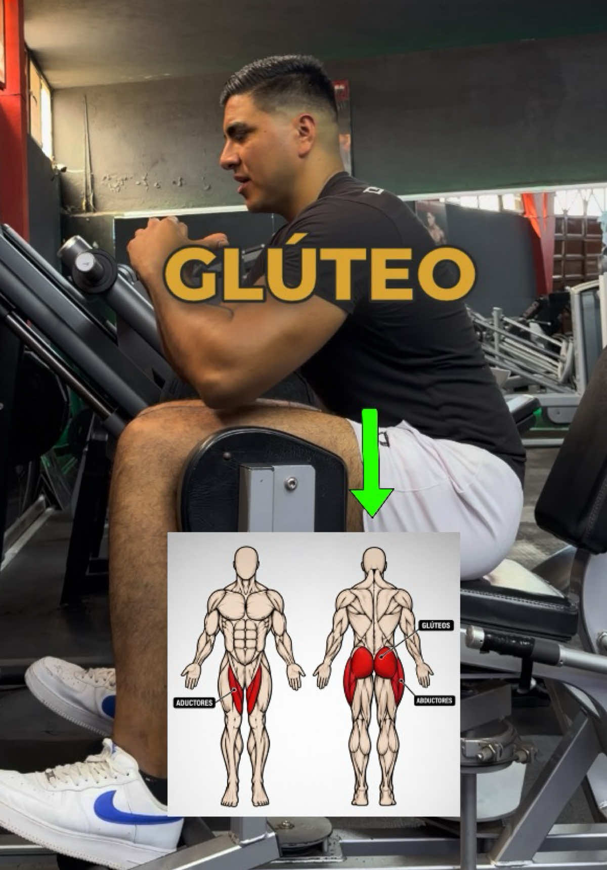@PERSONAL TRAINER