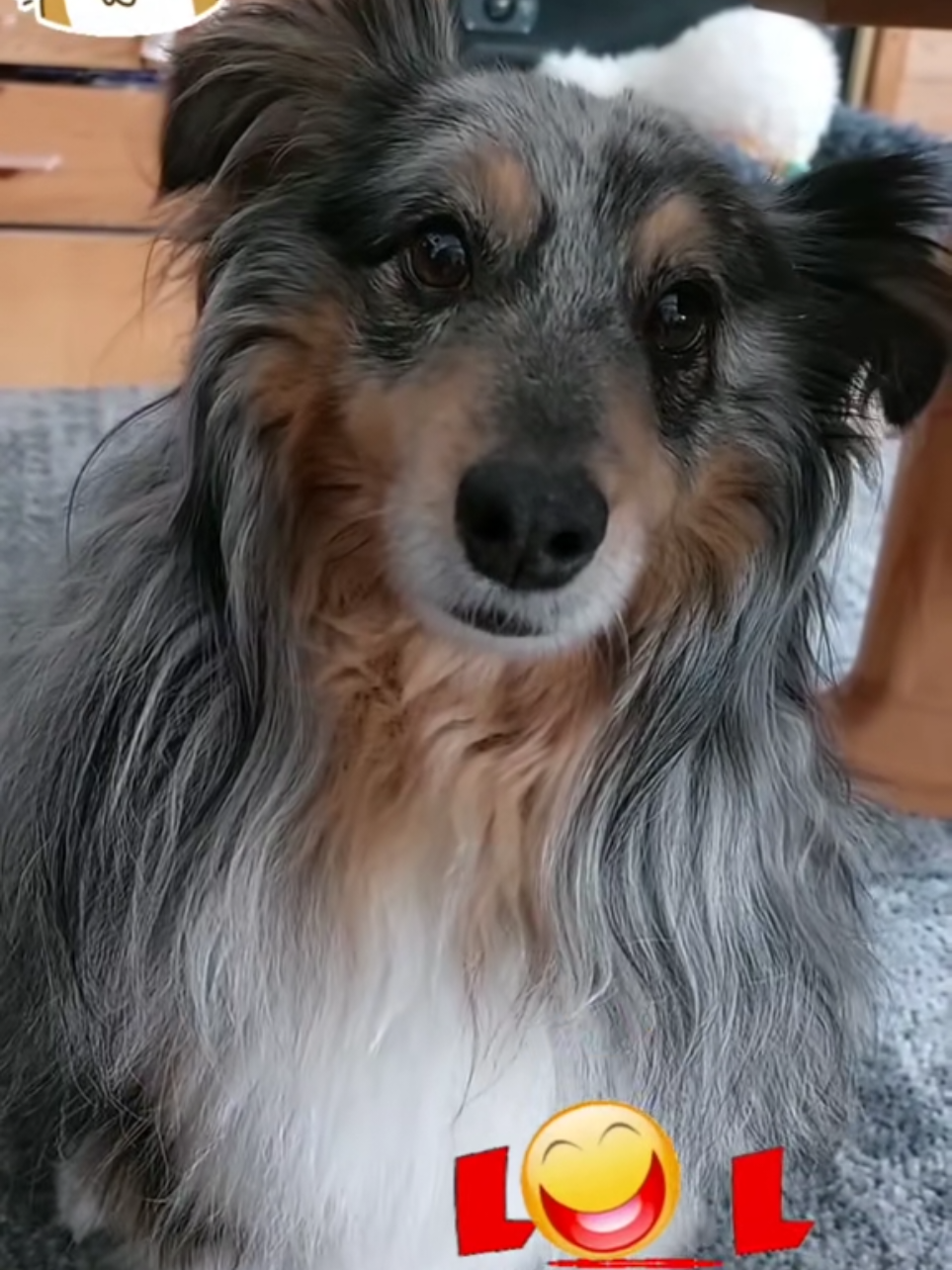 @Perlenglitzerwelt