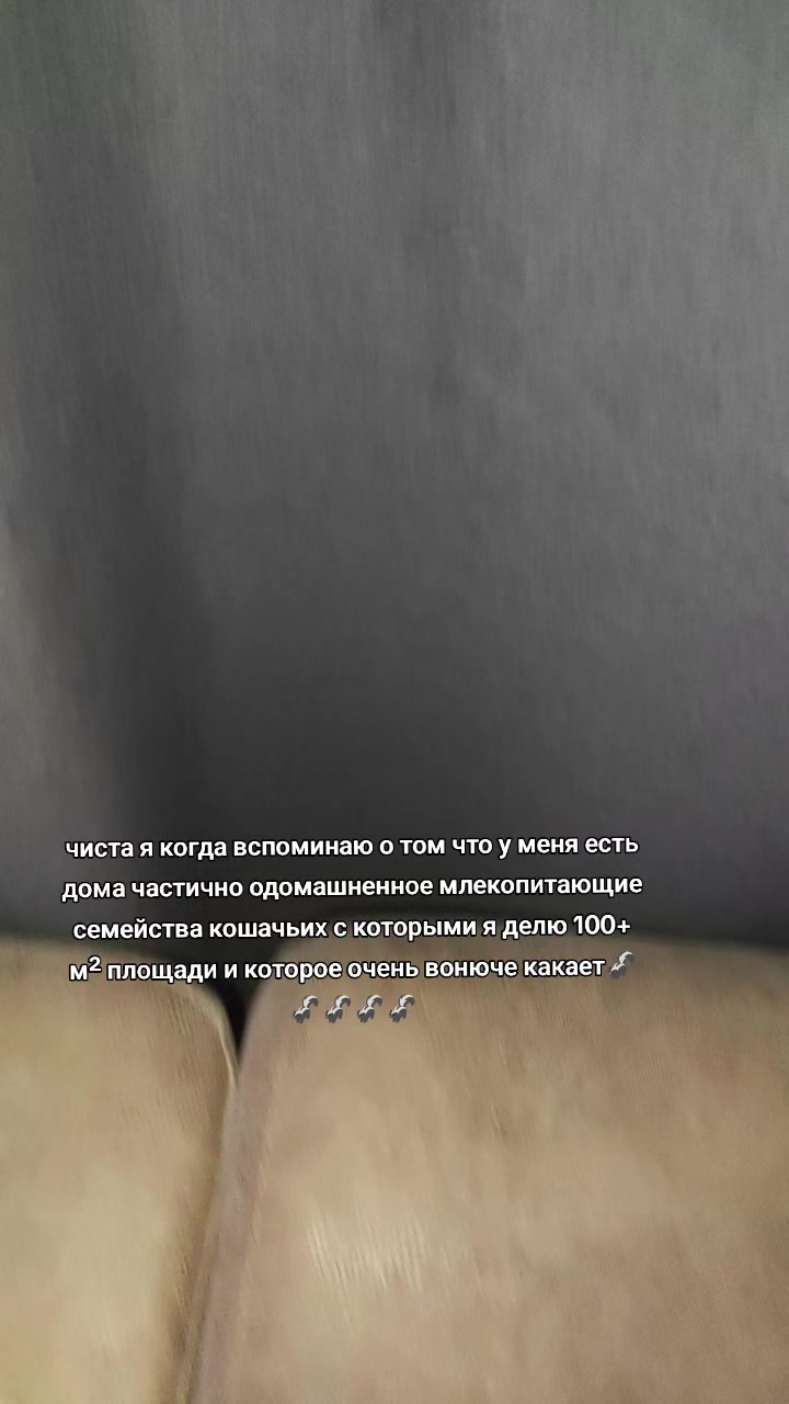 @целлюлитнаябулка2009
