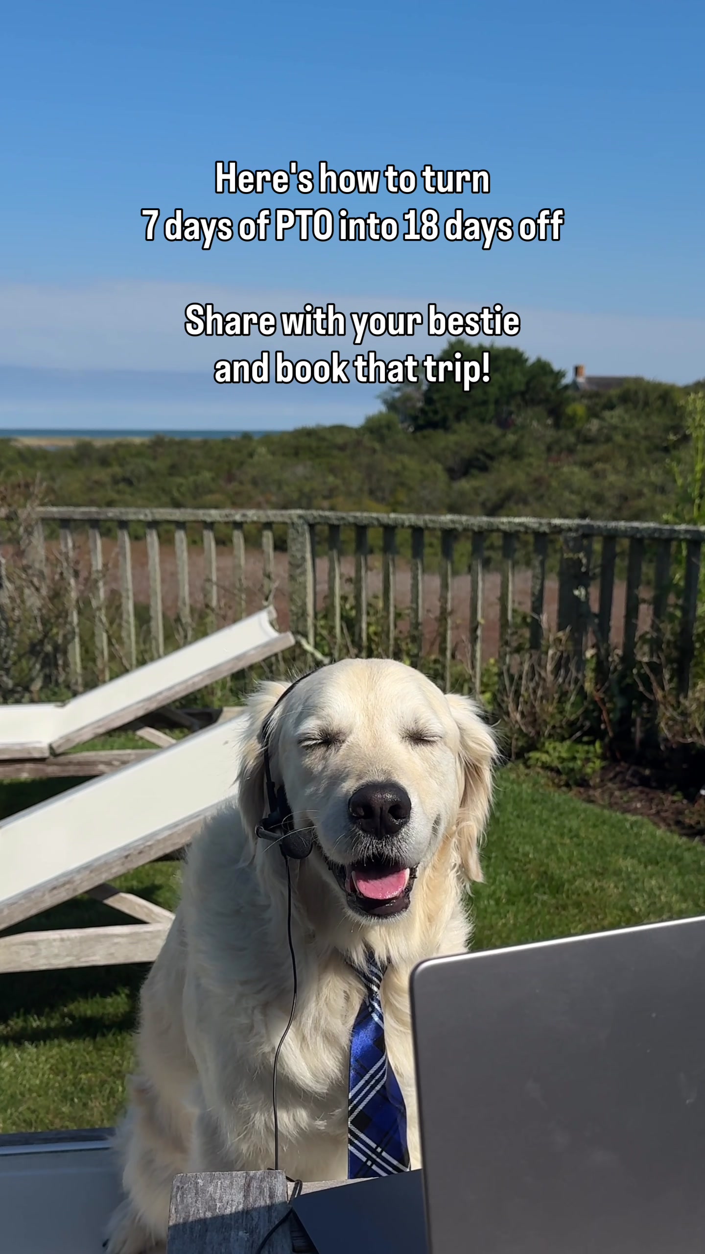 @Rigatoni The Golden