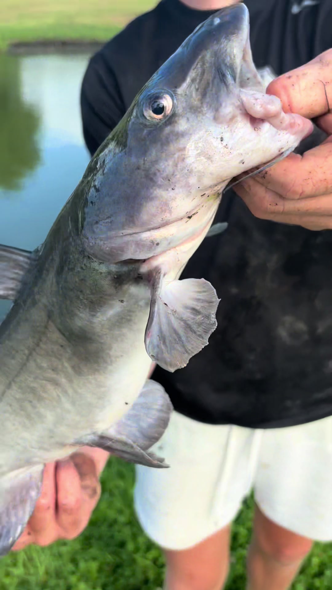 @IA Fishing