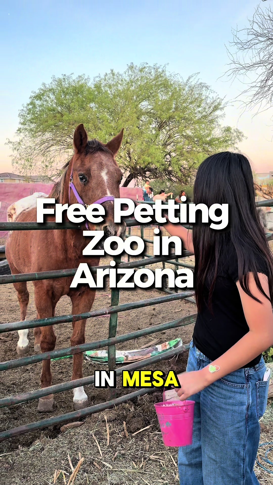 @az_familyadventures