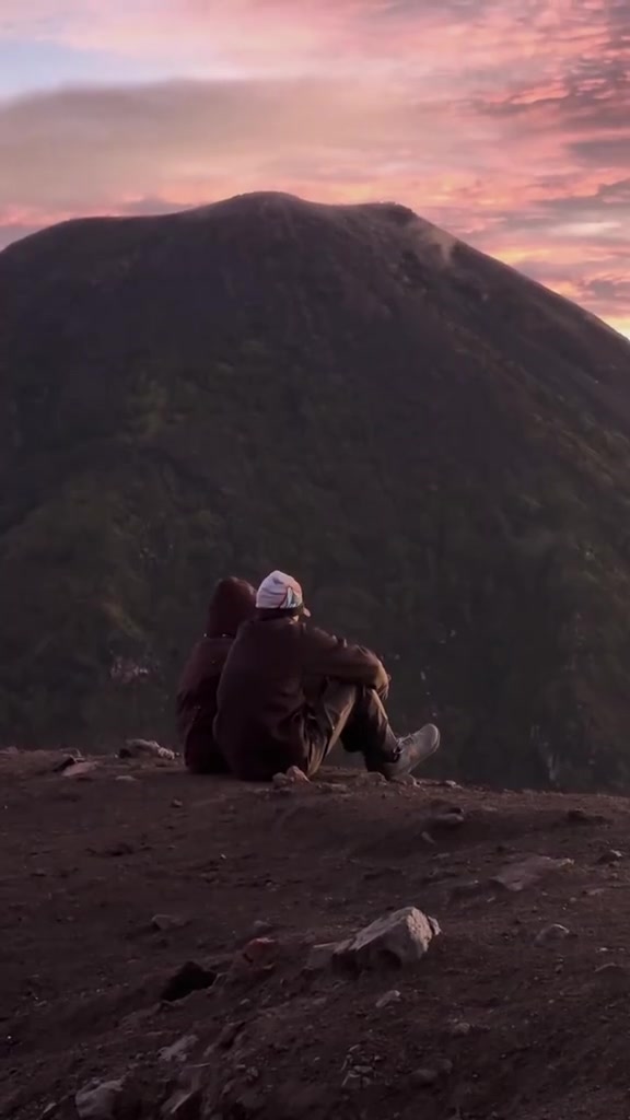 @wolfs.travel.agency