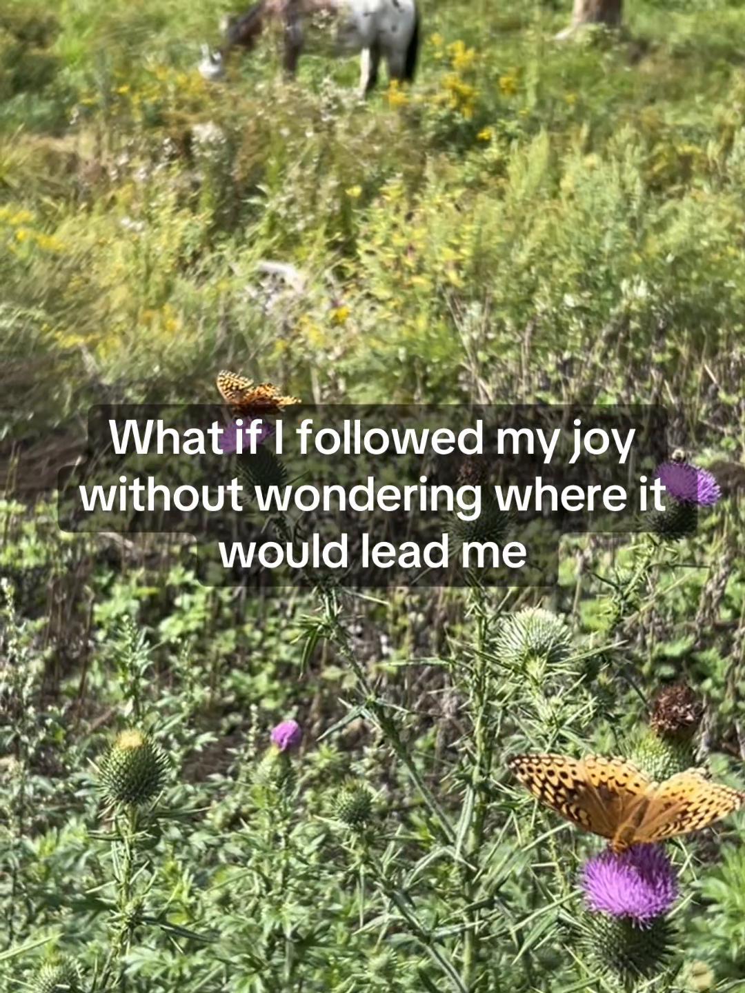 @Rooello