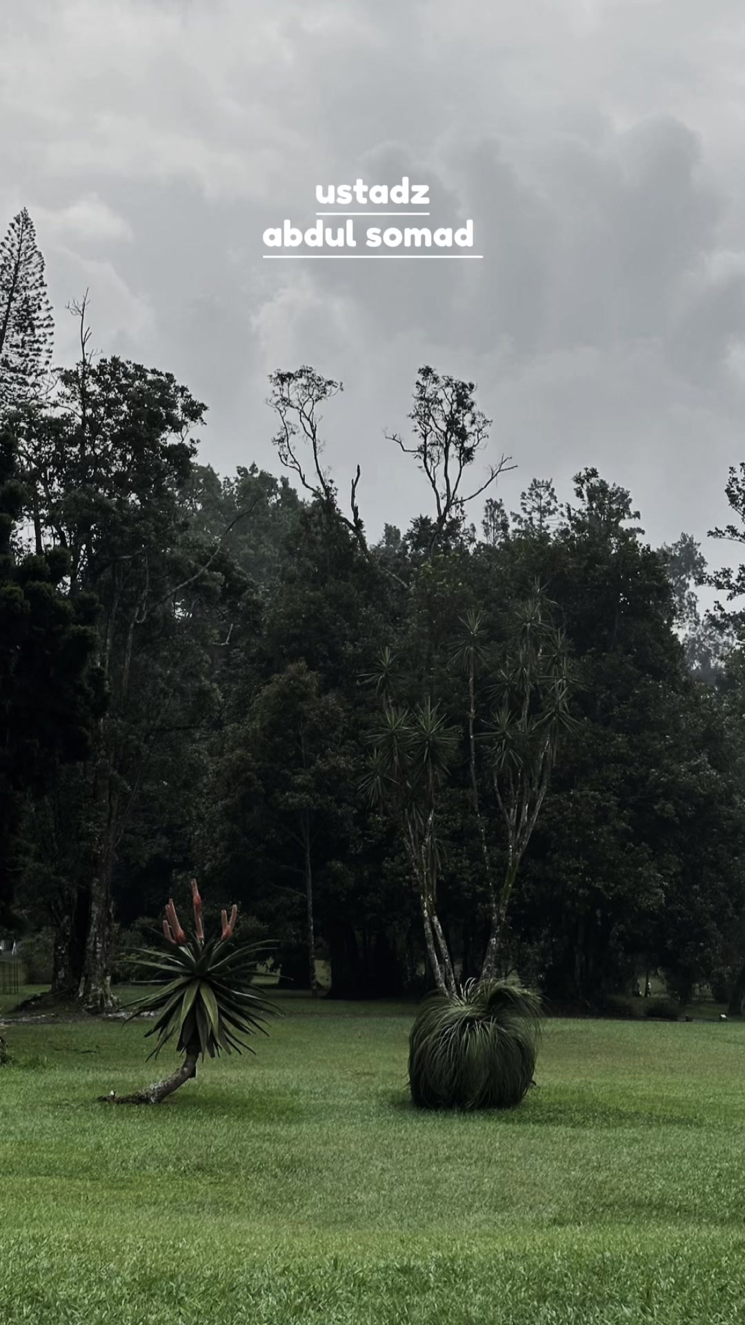 @kireina property