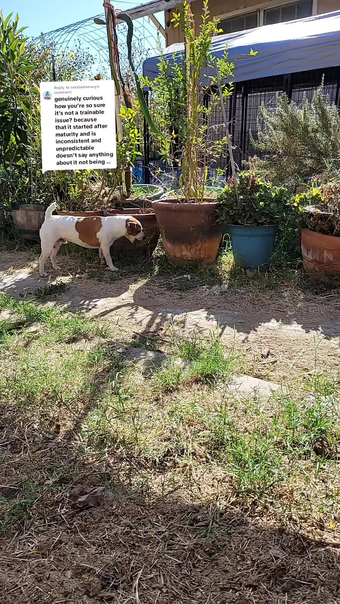 @VioletHorizonsFarm