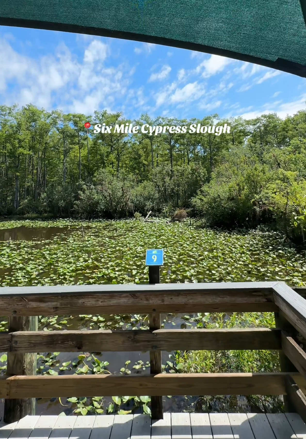@FLSwimPaddleHike