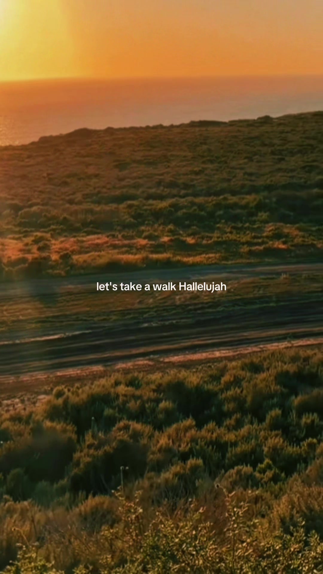 @Maverick&Hachi