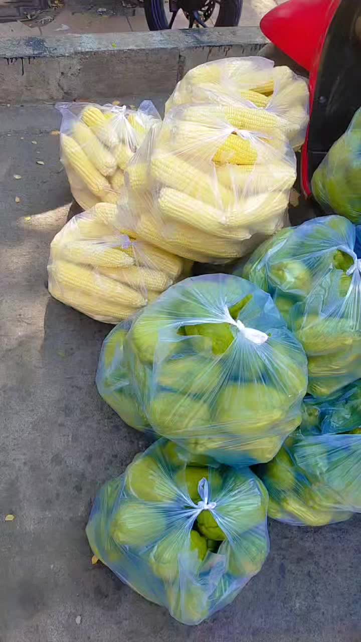 @Hs Sayur