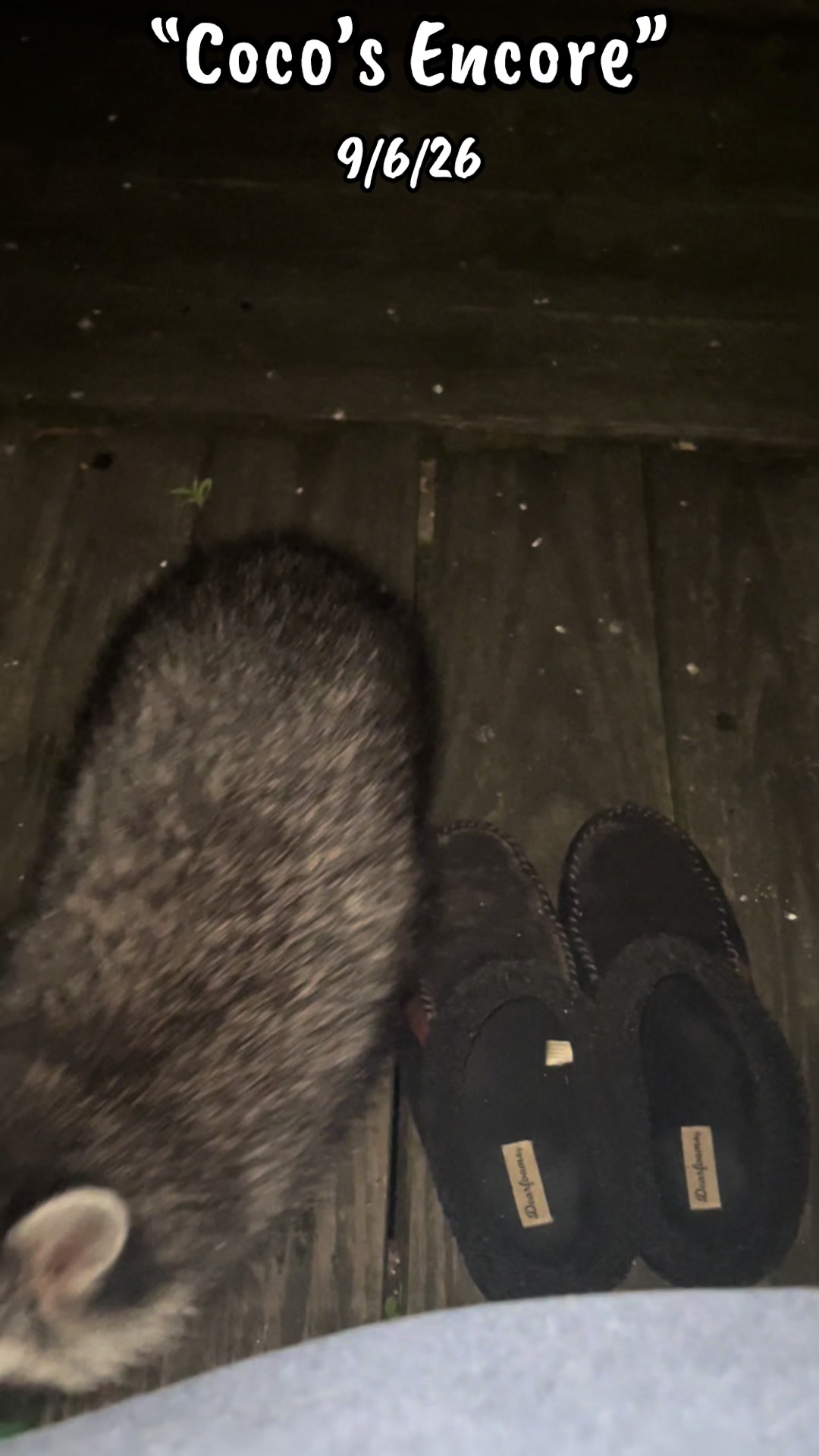 @LoneWolfKritterKam
