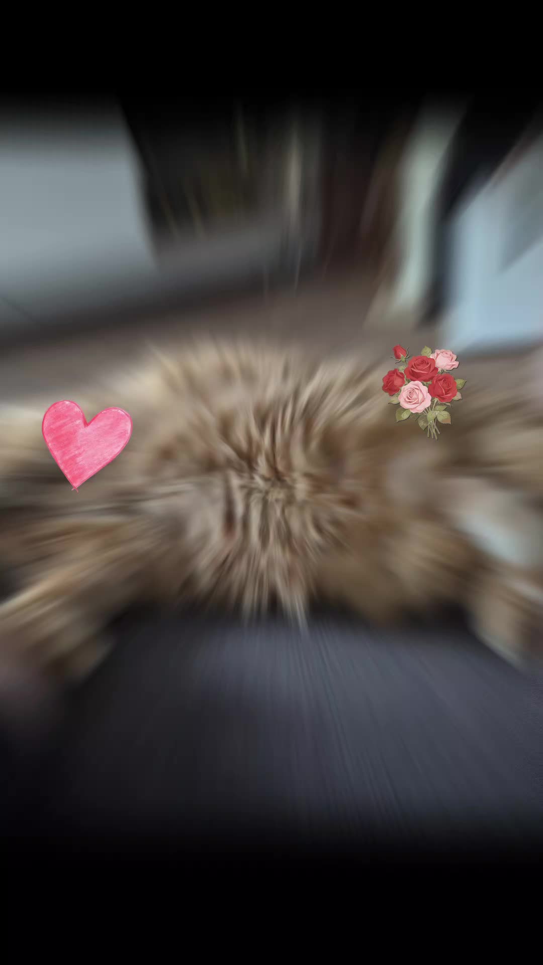 @ela💎 DiamondFee🐈