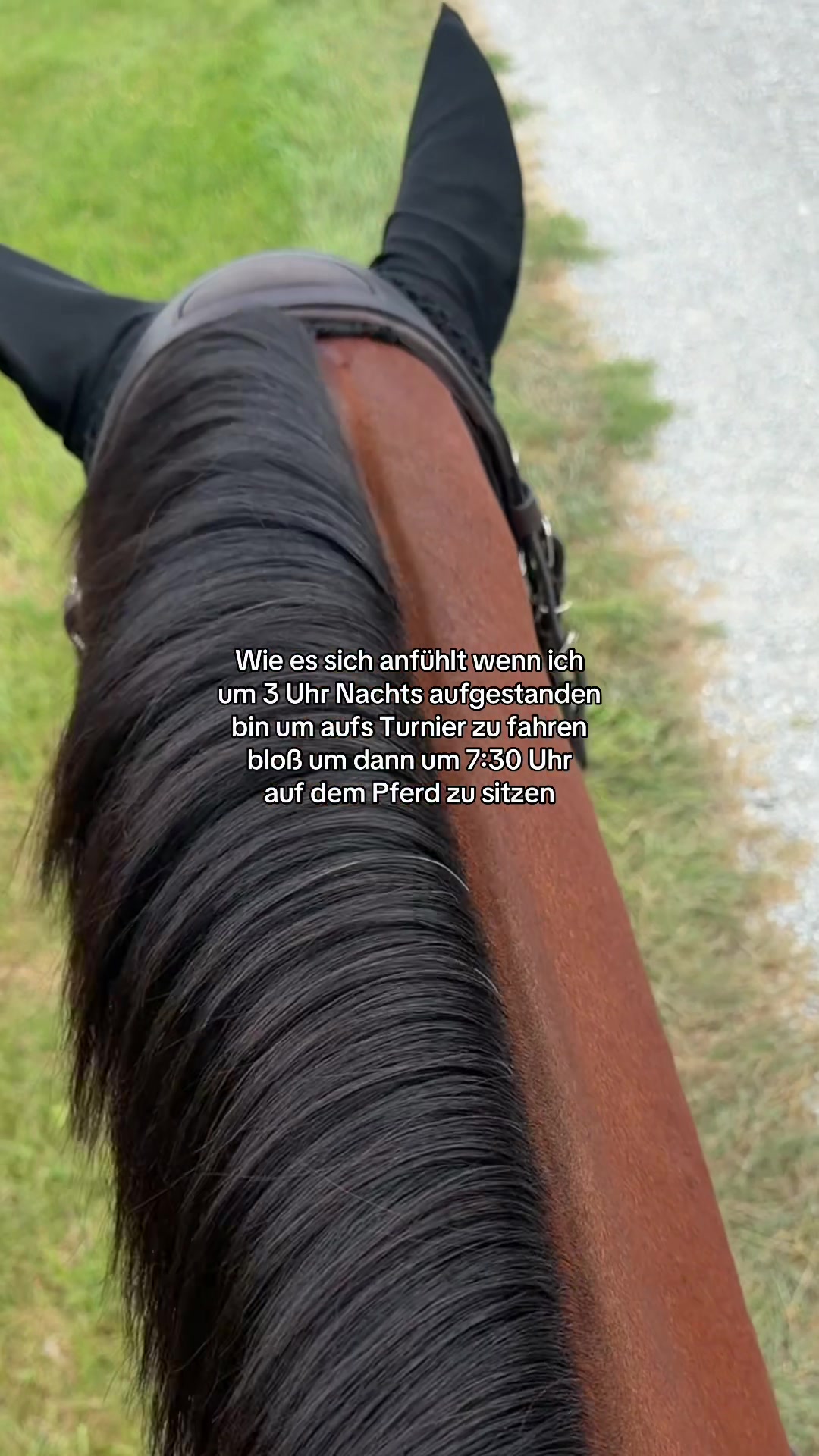 @Sarah Philine | Para-Reitsport