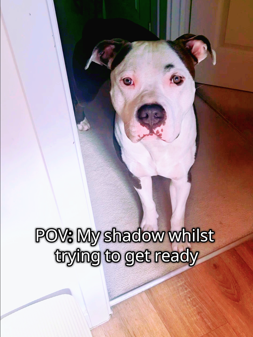 @Z♡€ •°•☆ ✌🏼🫶🏼✨️