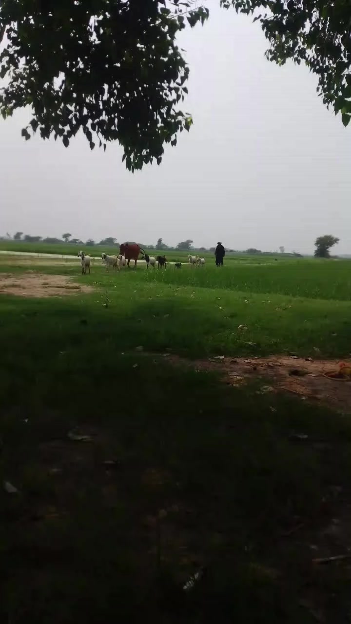 @Aftab Badshah