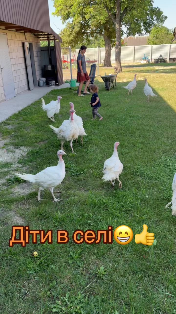 @Життя в селі👍