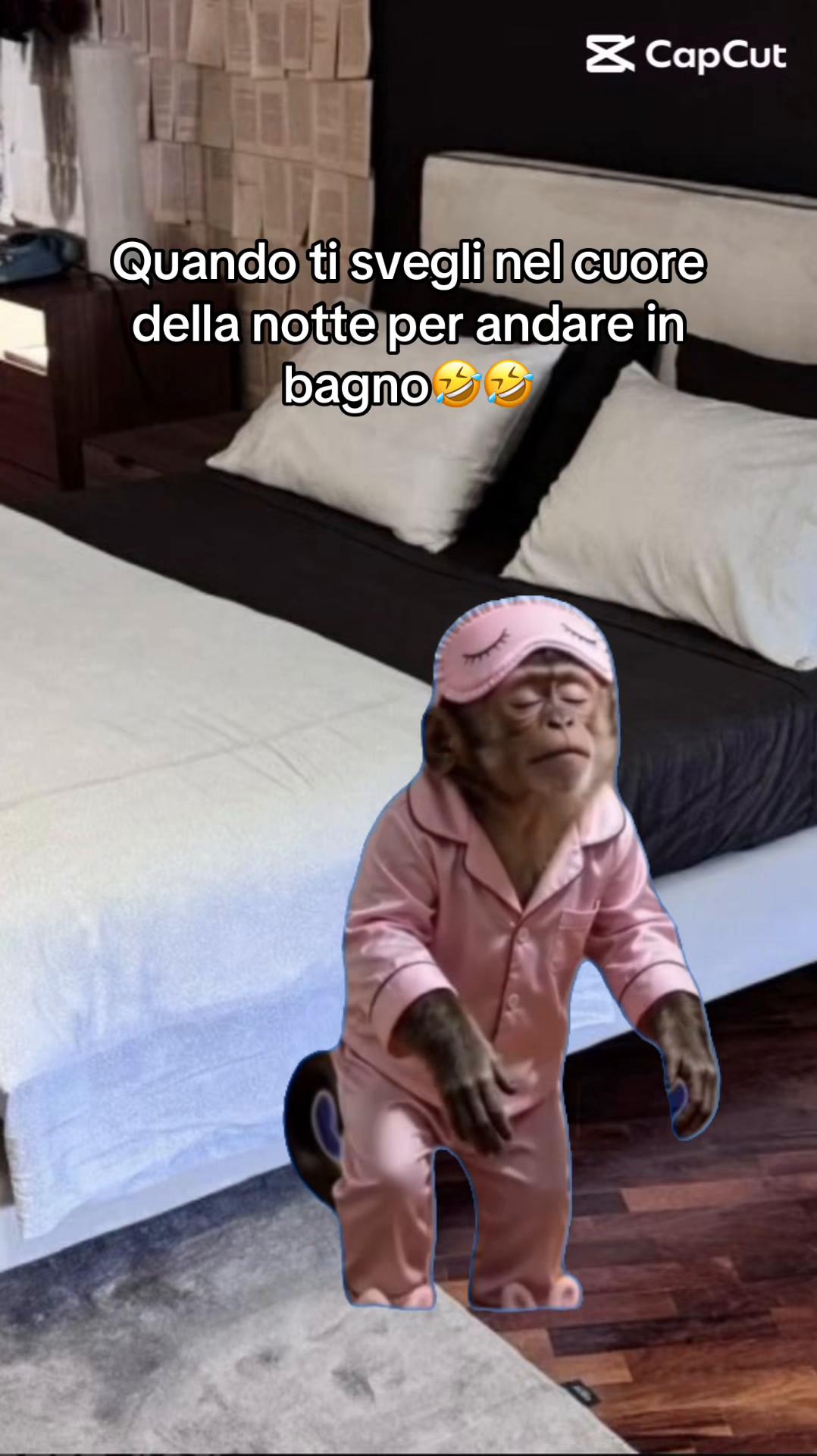 @Alessione il Brontolone