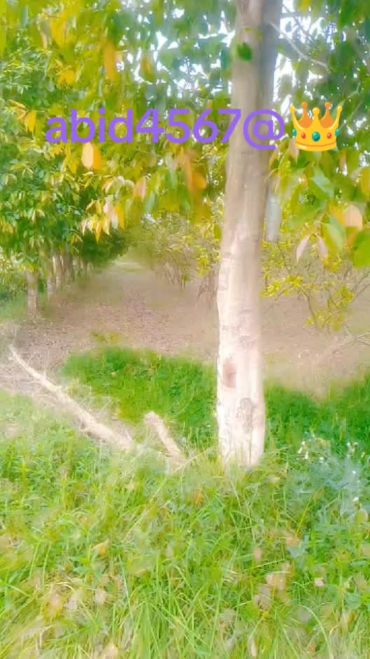 @Abid 4567