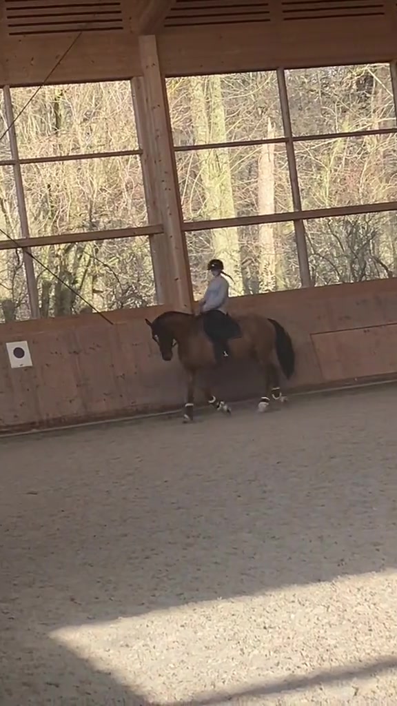@lea_ponyeventing