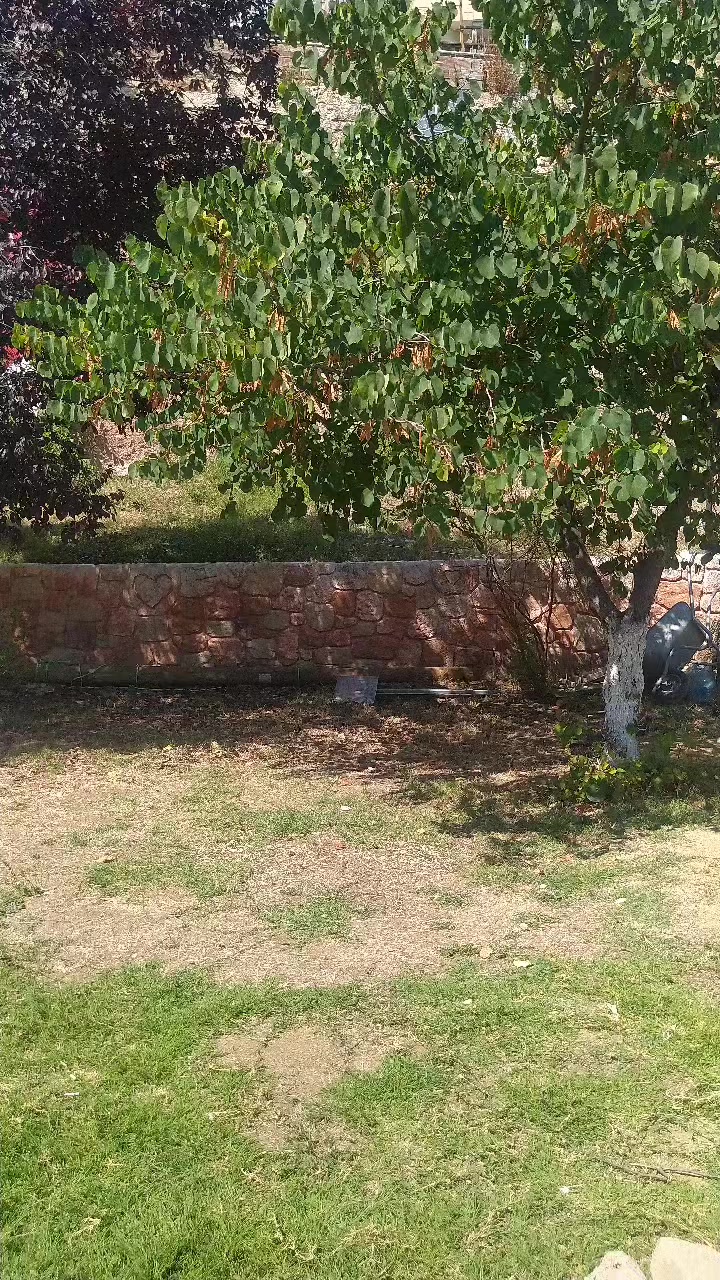 @Ela gözlümm❤️❤️