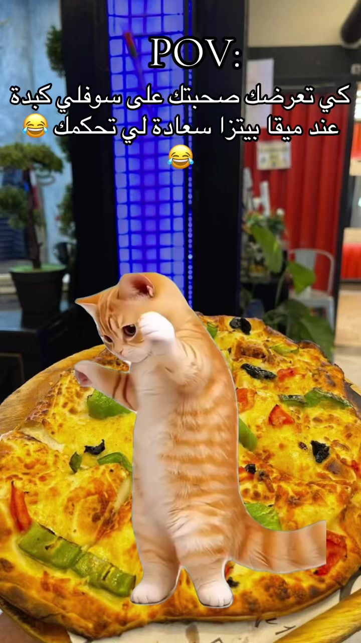 @Mega pizza annaba