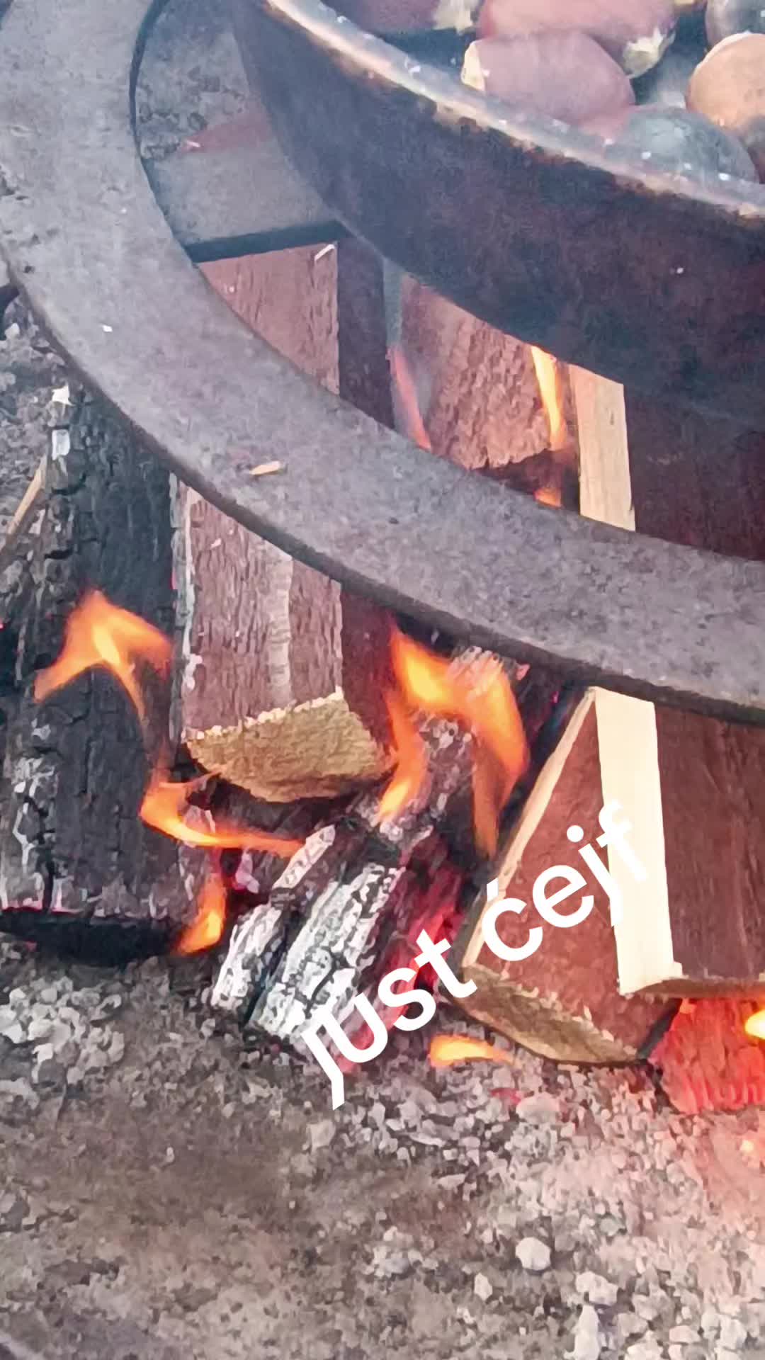 @edisrasavac