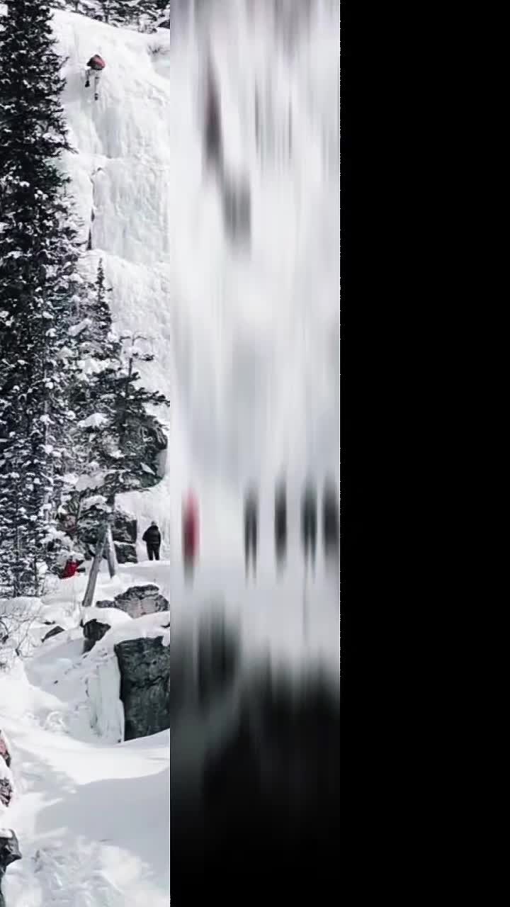 @LØNEWØLF🇨🇦
