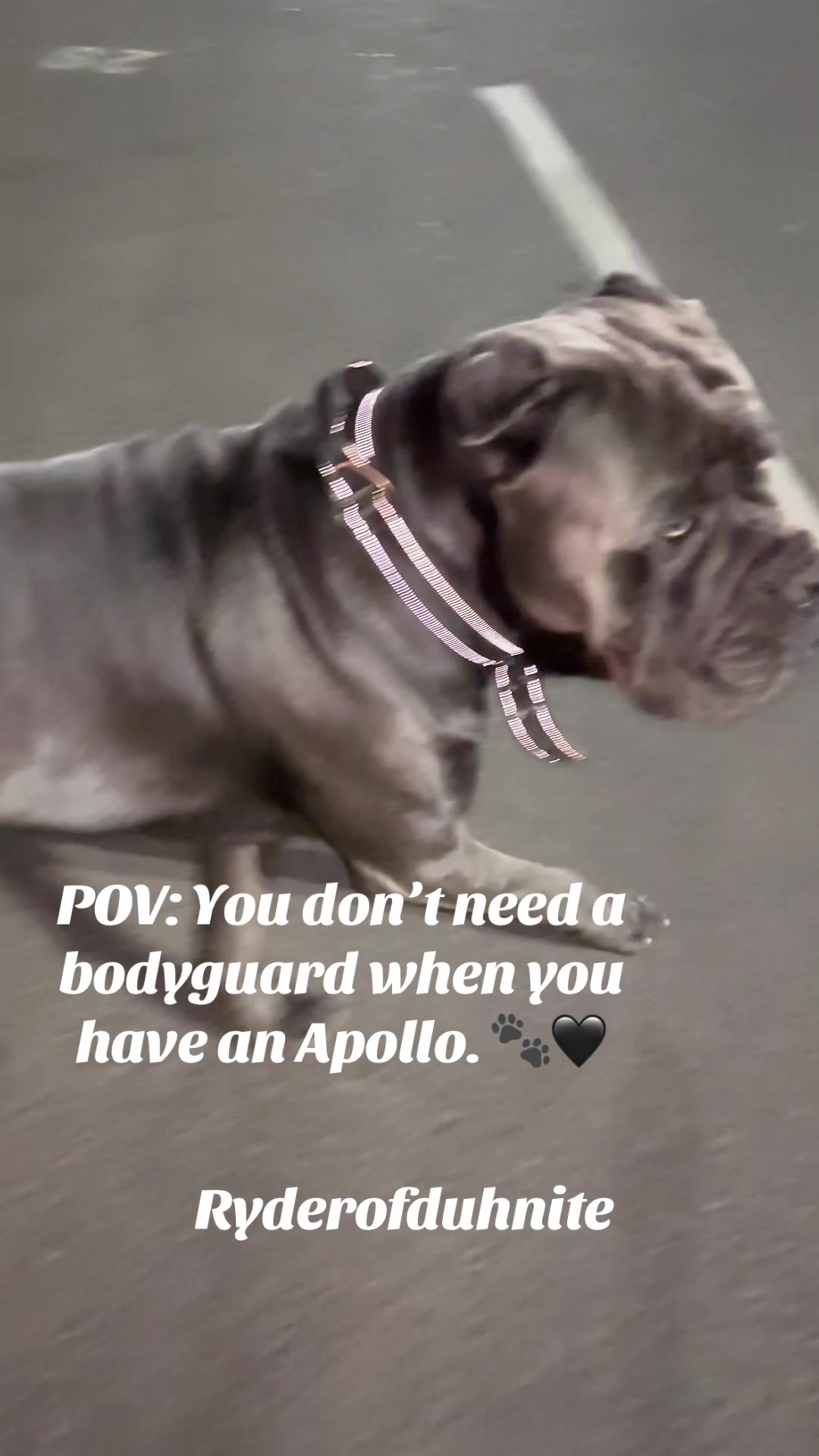 @Ryderofduhnite