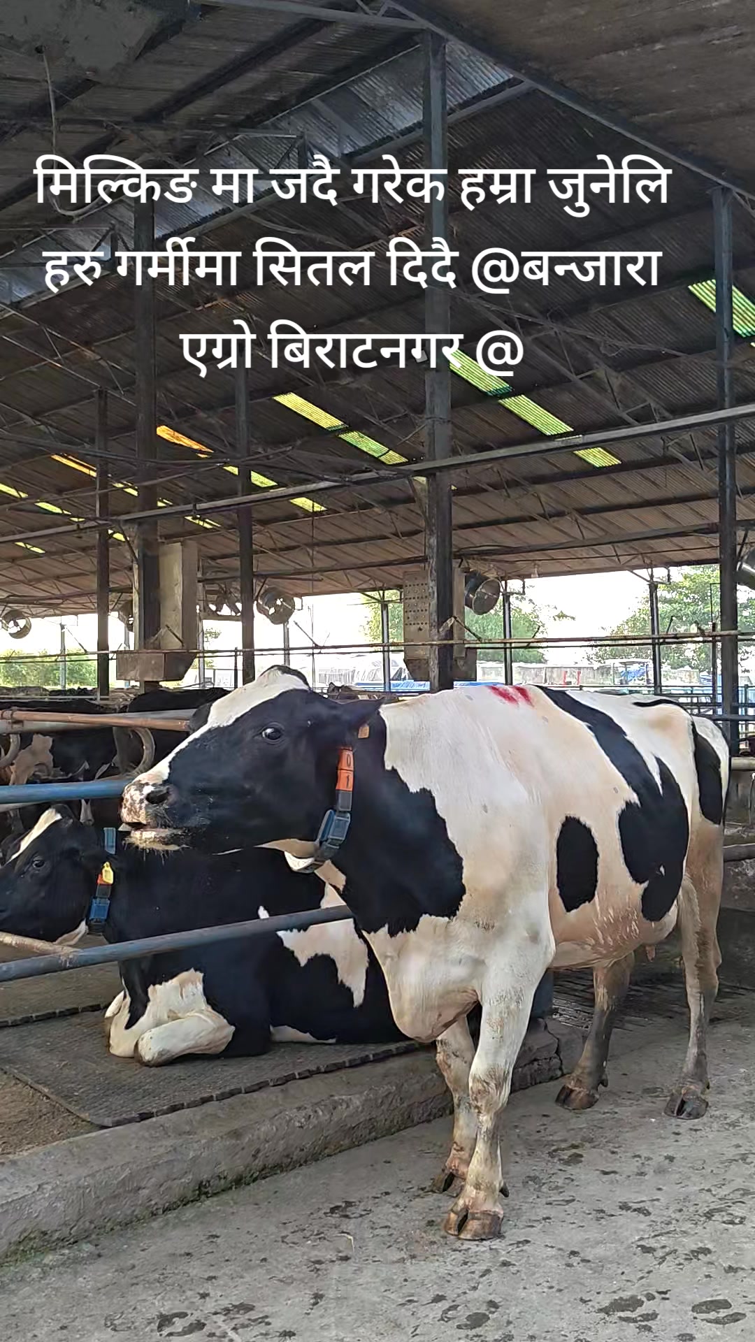 @Banjara Agro