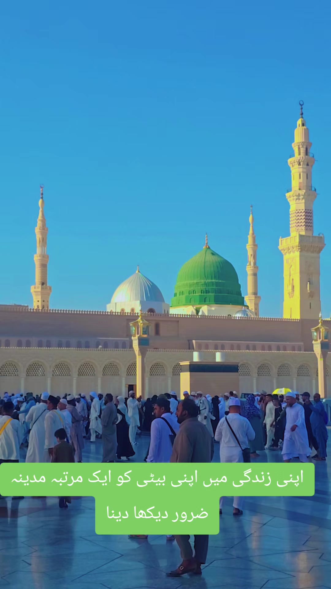 @عمیر رشید
