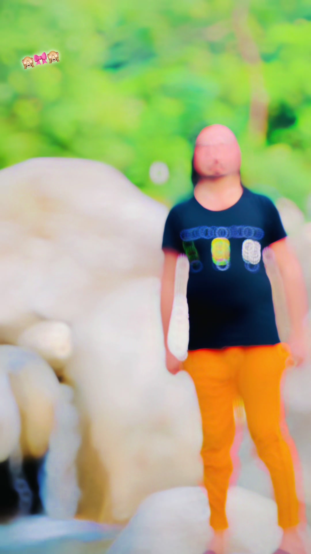 @Z̷K̷ ̷7̷