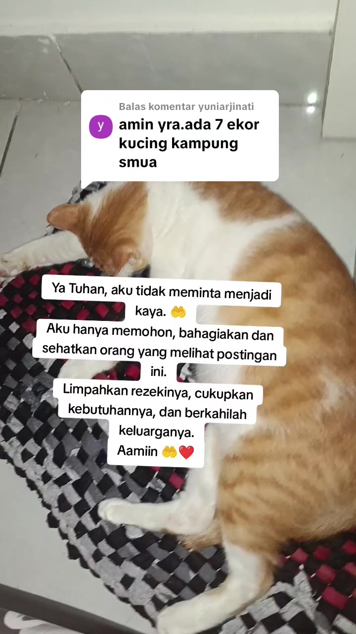 @dymakulinerⓂ️