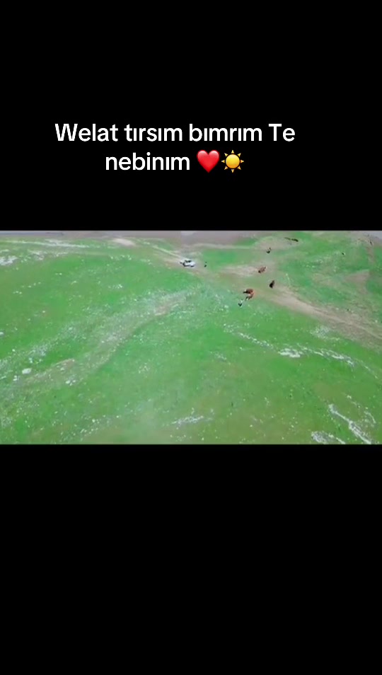 @MEM KURD