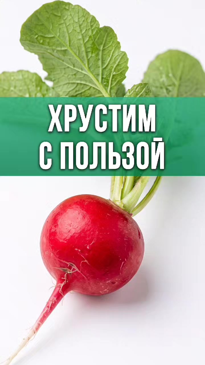 @ЗОЖнавигатор