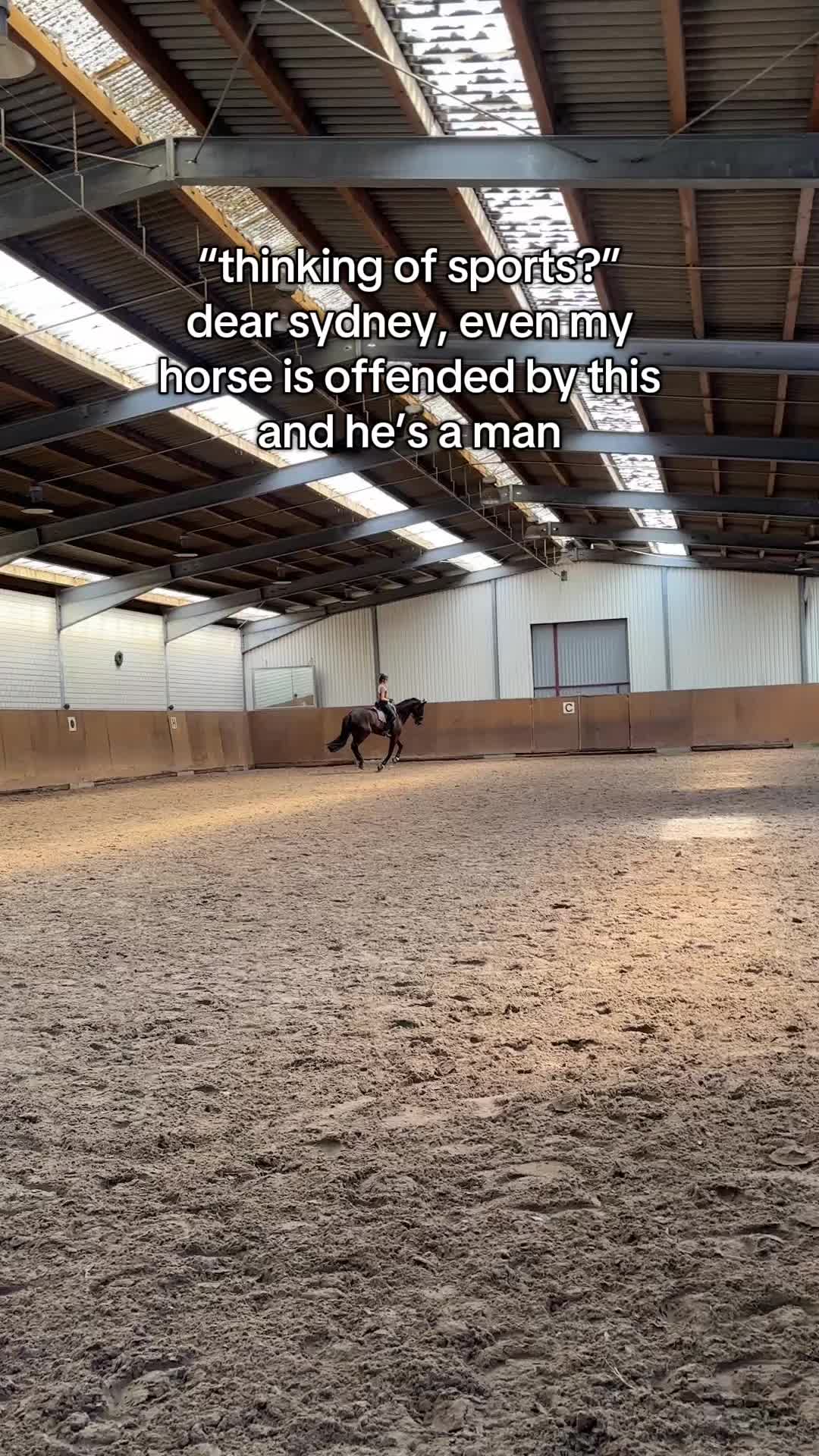 @evis.pferdechaos