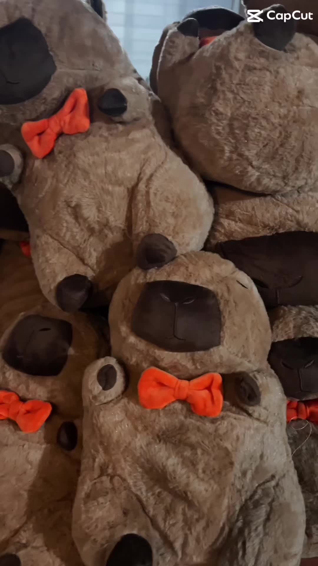 @jayjay25