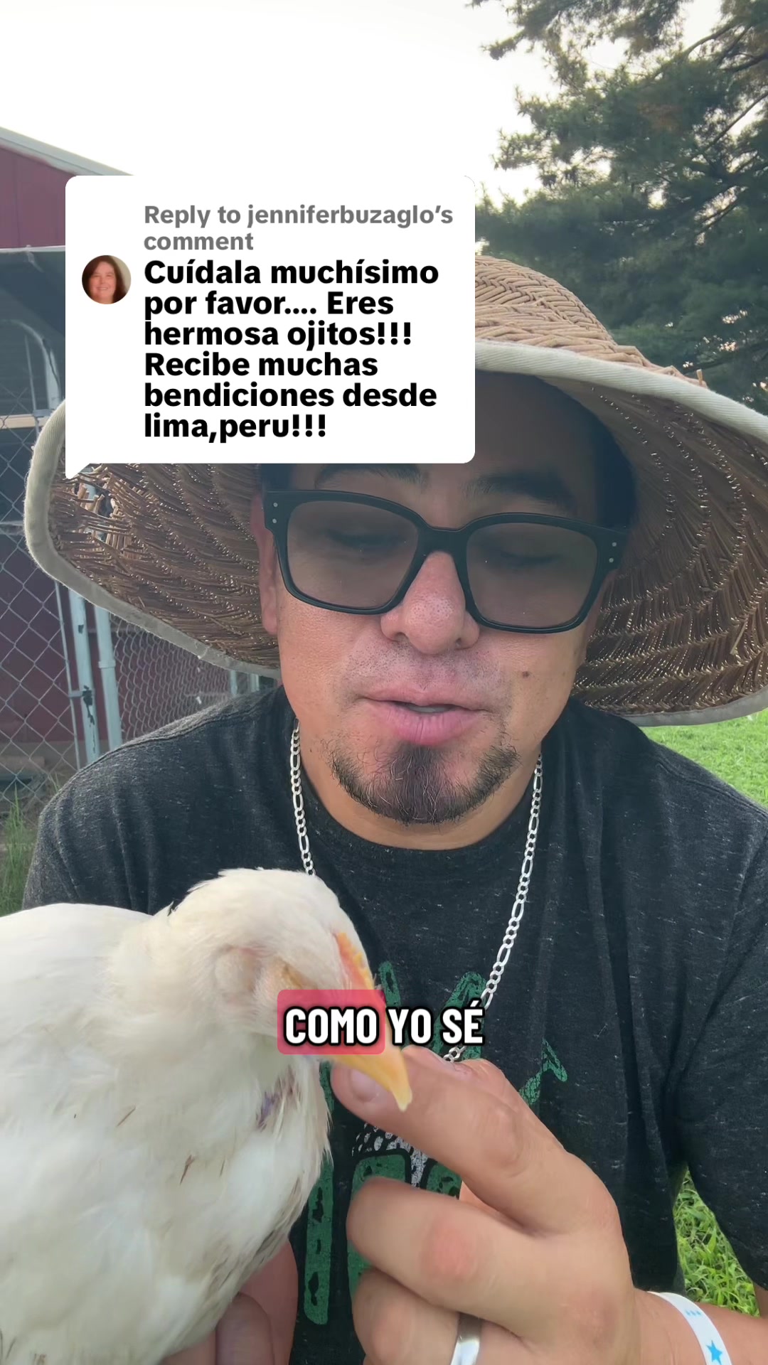 @WILSON DÍAZ