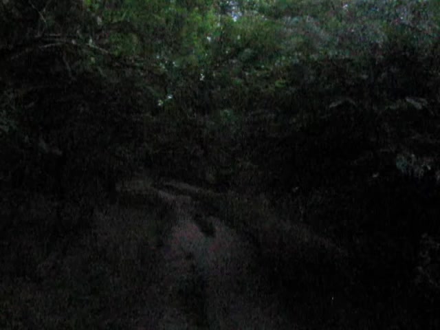 @lost in nostalgia